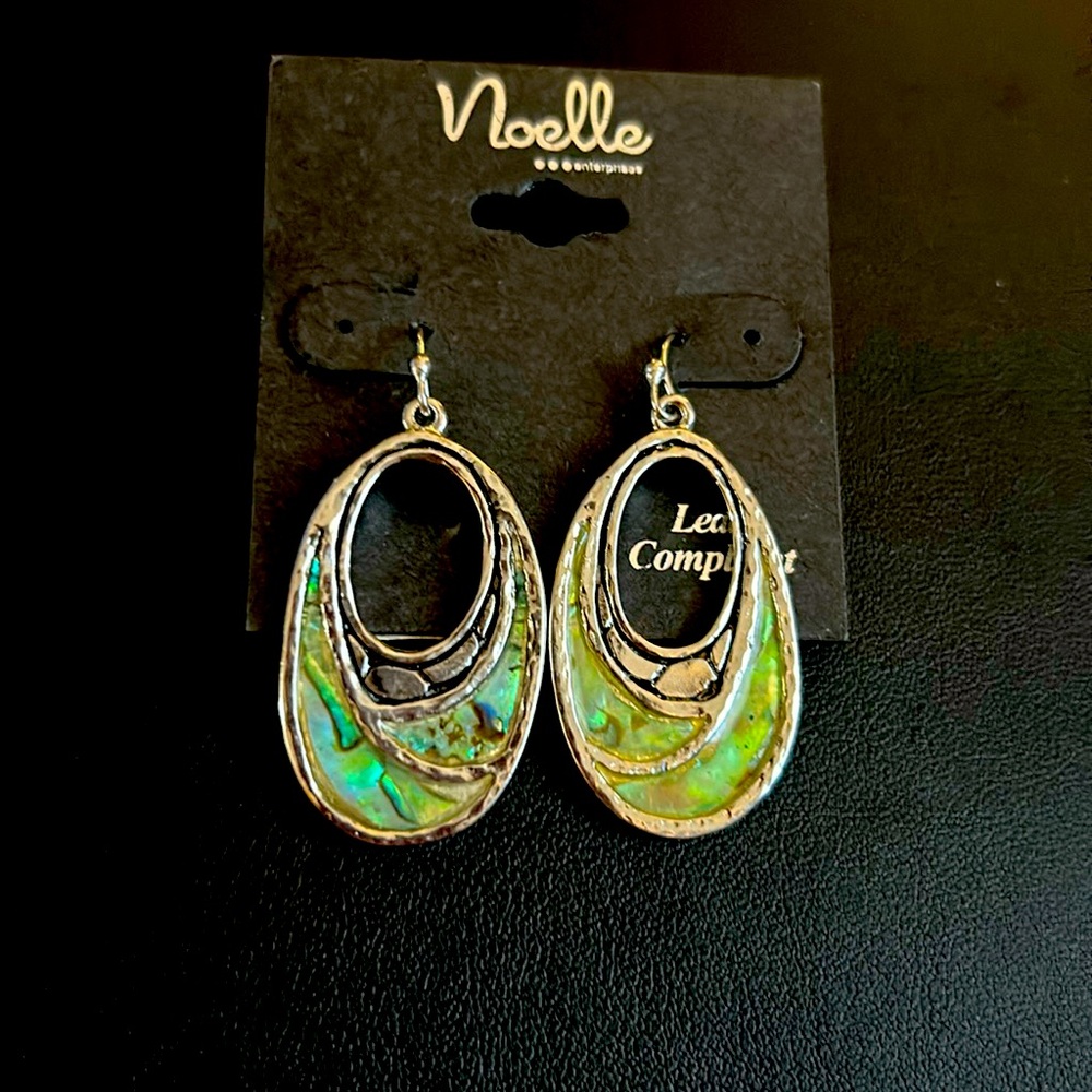 Abalone Shell Earrings Wire Pierced